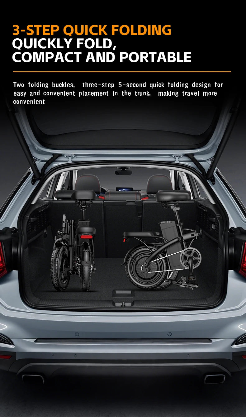 Lookrun Folding Electric Bike 650W 48V Lithium Battery