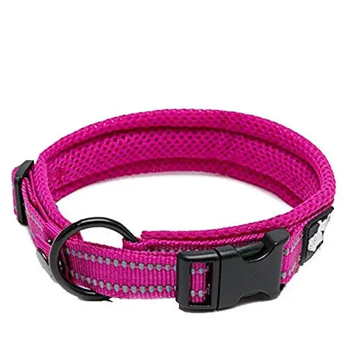 TRUELOVE Adjustable Reflective Padded Nylon Dog Collar