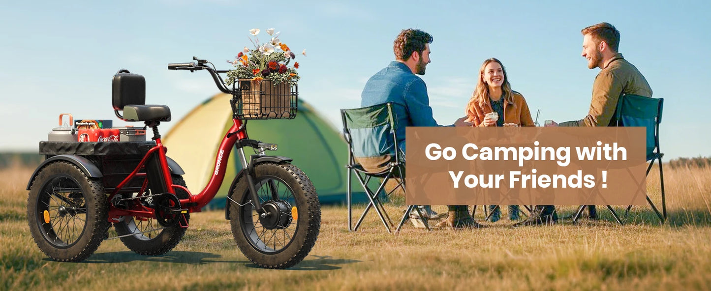 QRONGE 960W Fat Tire Folding Electric Tricycle For Adults
