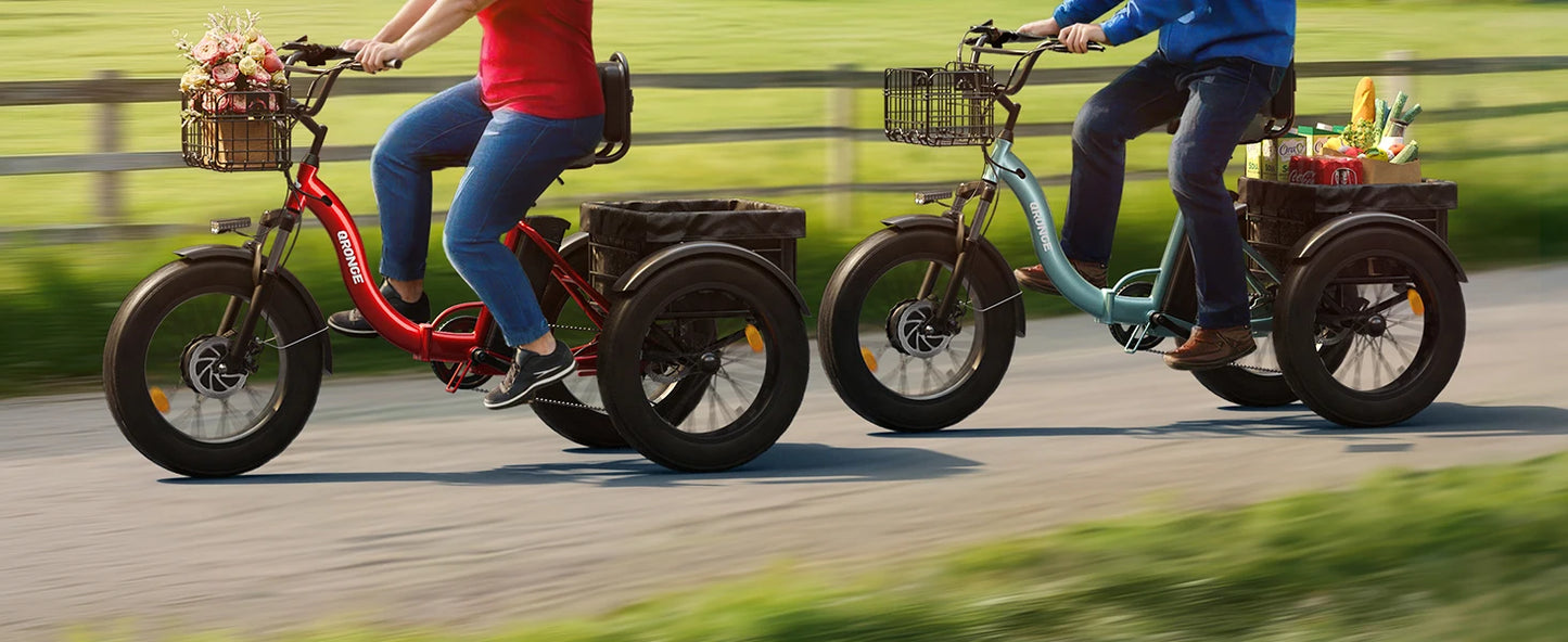 QRONGE 960W Fat Tire Folding Electric Tricycle For Adults