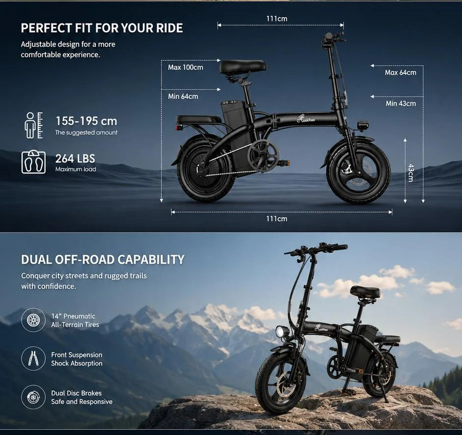 Lookrun Folding Electric Bike 650W 48V Lithium Battery