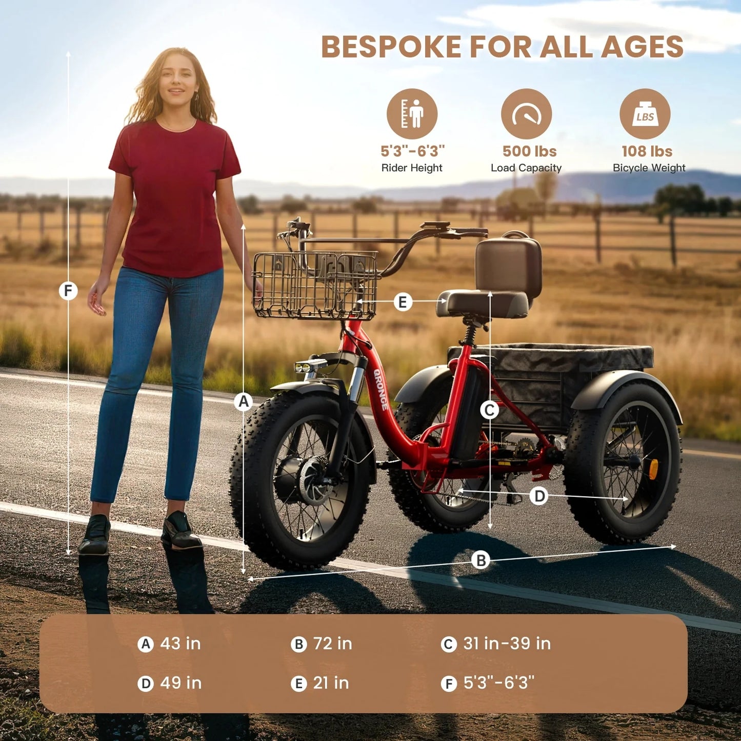 QRONGE 960W Fat Tire Folding Electric Tricycle For Adults