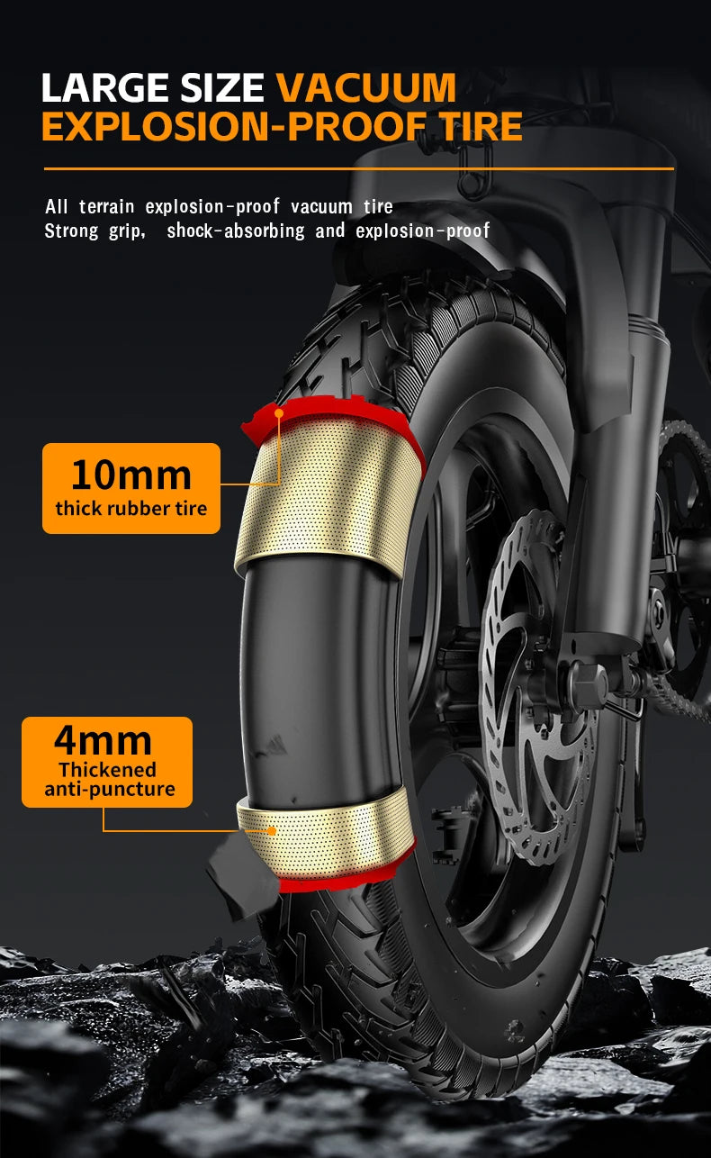 Lookrun Folding Electric Bike 650W 48V Lithium Battery