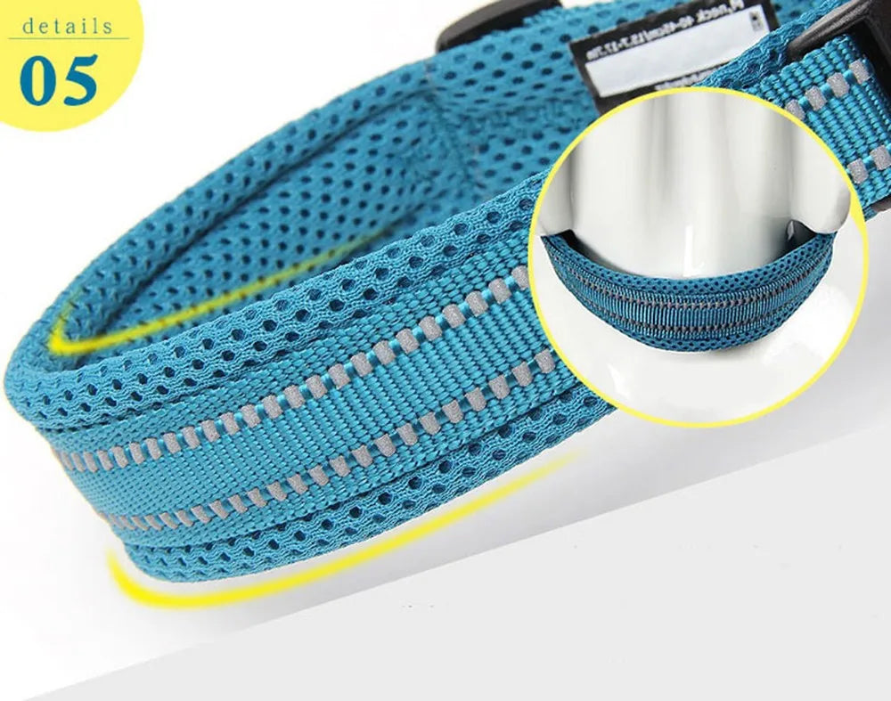 TRUELOVE Adjustable Reflective Padded Nylon Dog Collar