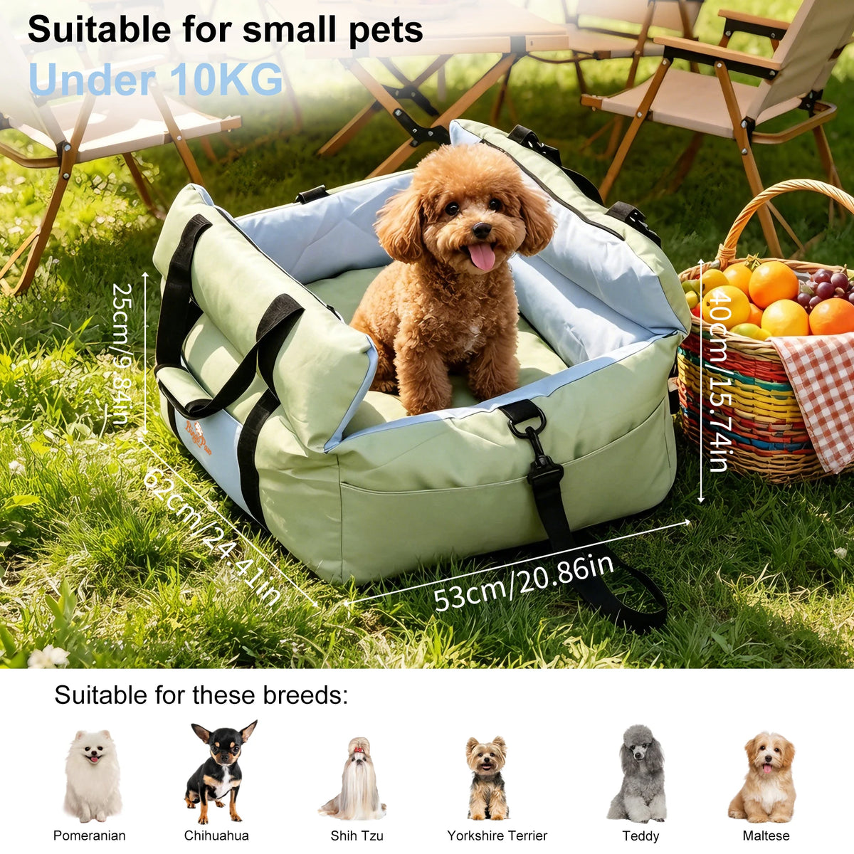 BORWART Portable Dog Car Booster Seat With Safety Belt Washable Cover
