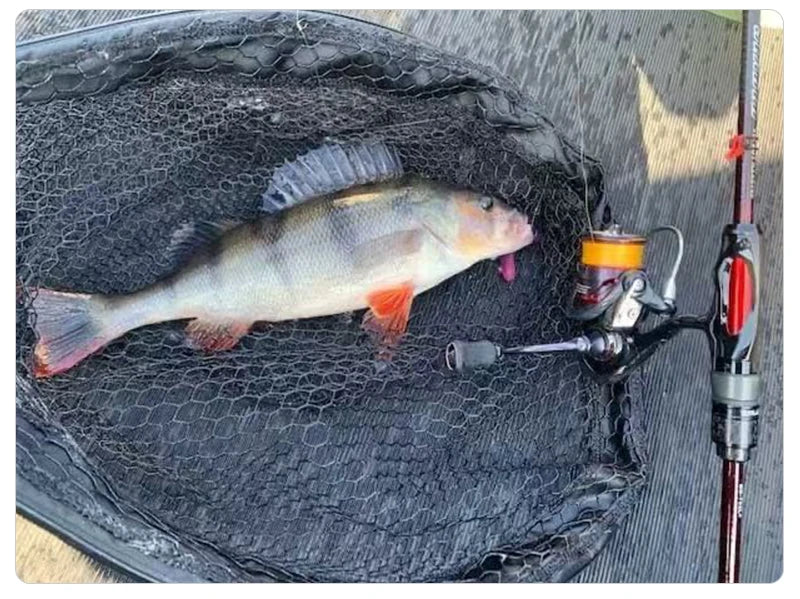 Purelure Seabed Carbon Spin Rod With Fuji Components
