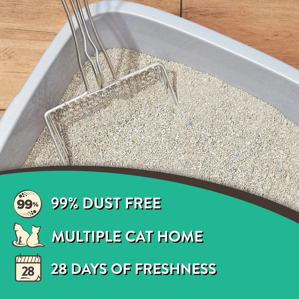 Special Kitty Fresh Scent Clumping Cat Litter With Odor Control