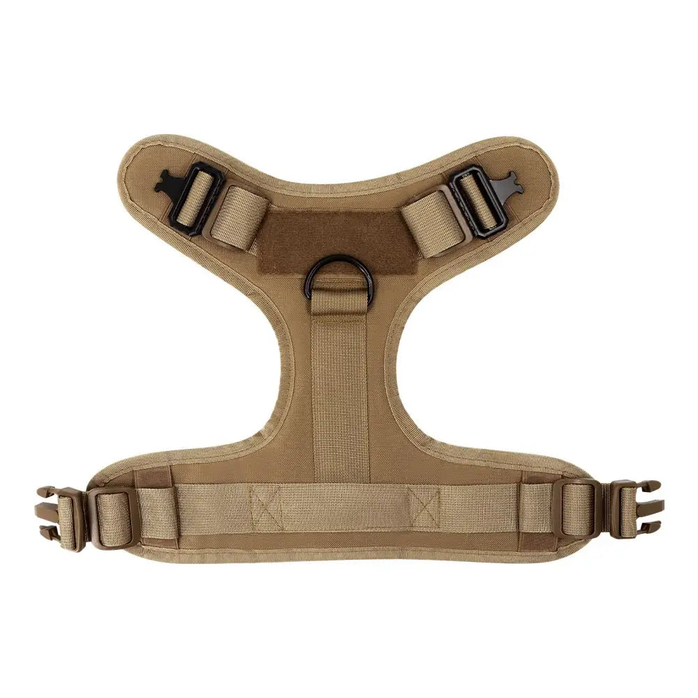 Nylon Dog Harness And Leash Set For Training And Walking