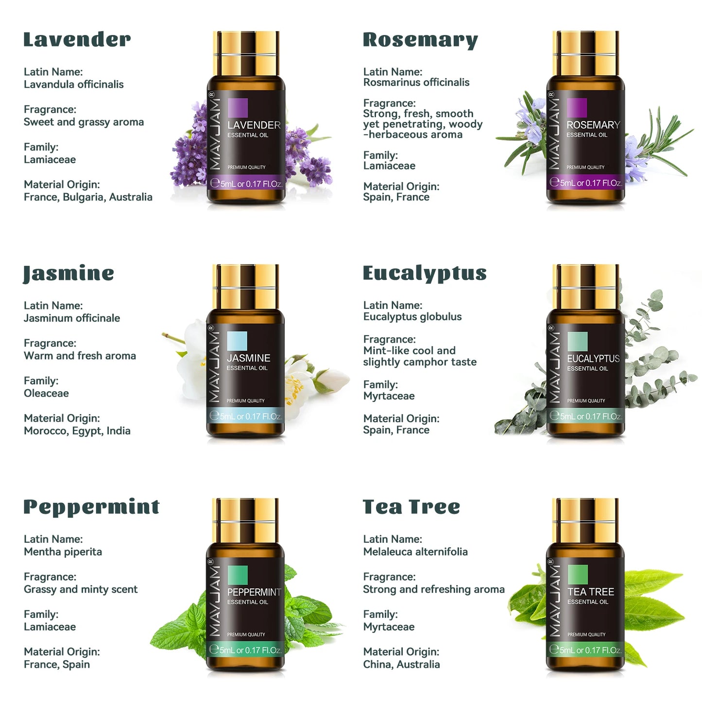 MAYJAM 35 Bottles Essential Oils Kit Gift Box With Lavender And More
