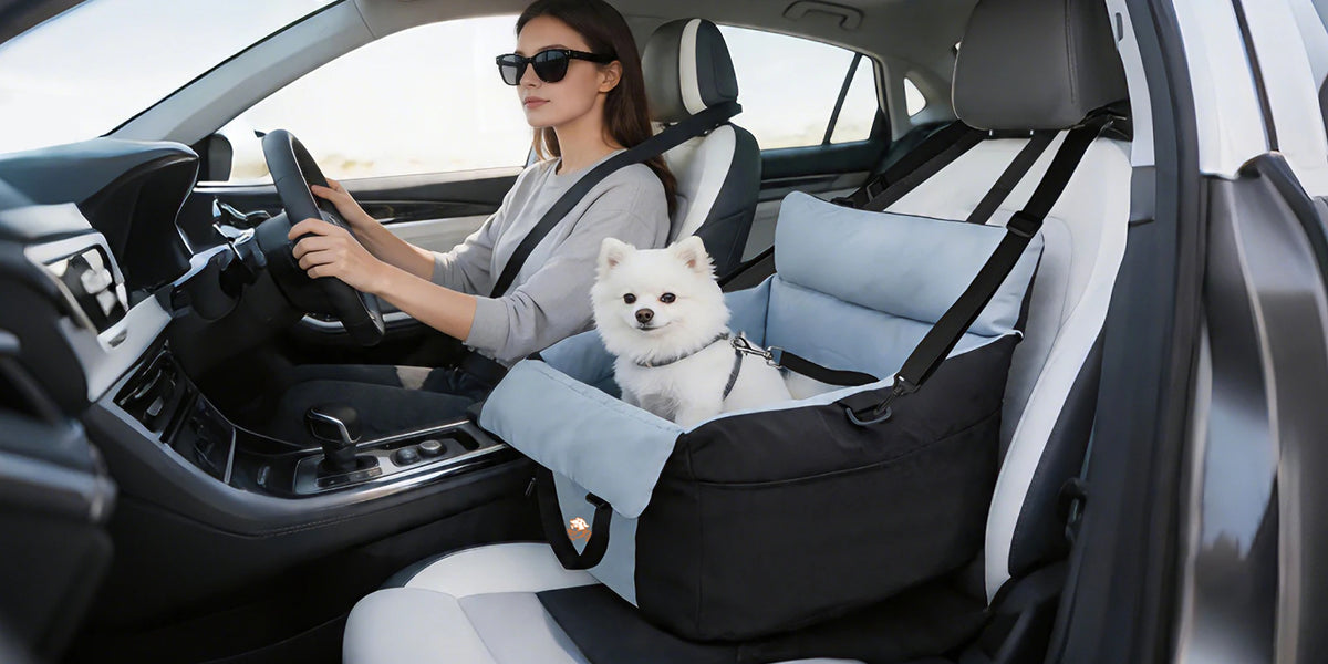 BORWART Portable Dog Car Booster Seat With Safety Belt Washable Cover