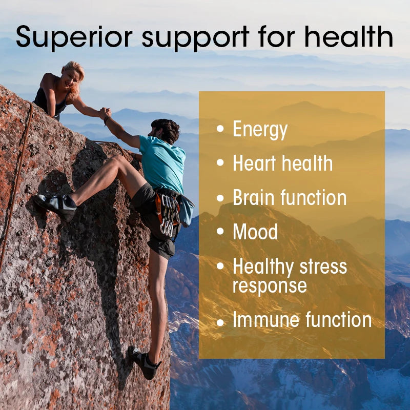 IMATCHME Vitamin B Complex Capsules for Stress and Immune Support