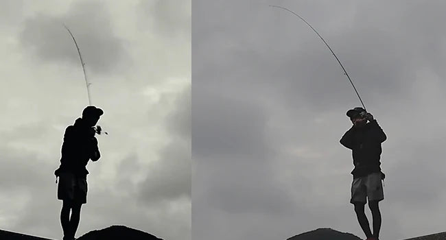 Purelure Seabed Carbon Spin Rod With Fuji Components
