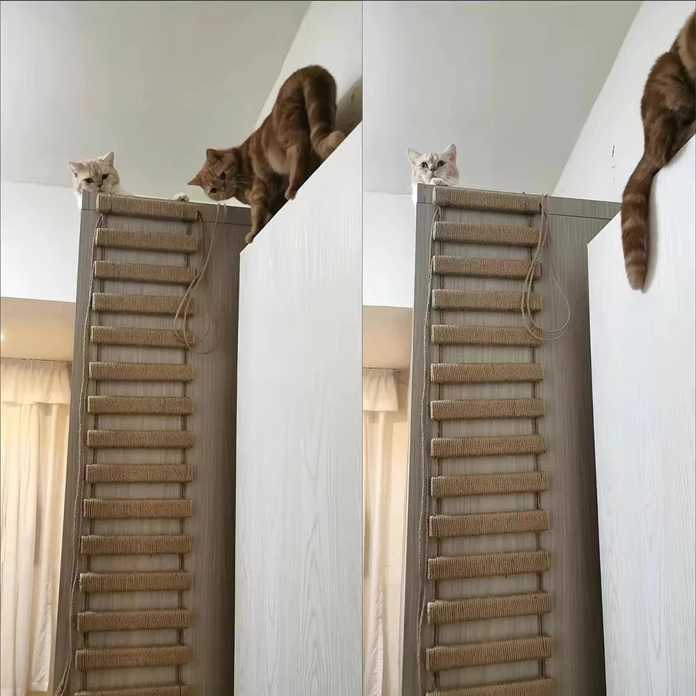 Cat Sisal Rope Bridge Ladder and Scratcher for Cage Furniture