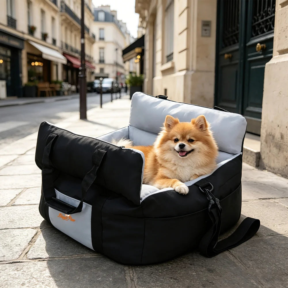 BORWART Portable Dog Car Booster Seat With Safety Belt Washable Cover