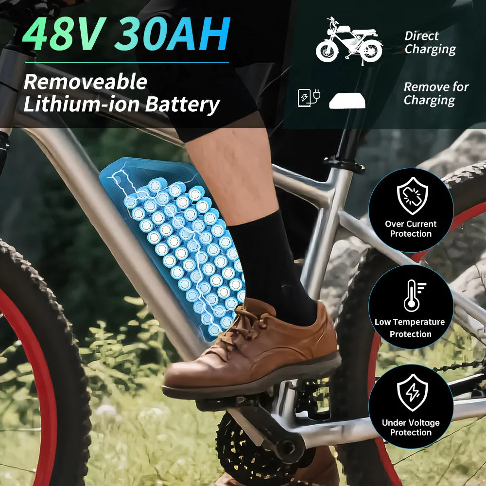 UNITPACKPOWER Electric Bike Battery Pack For E-Bike And Scooter Motors