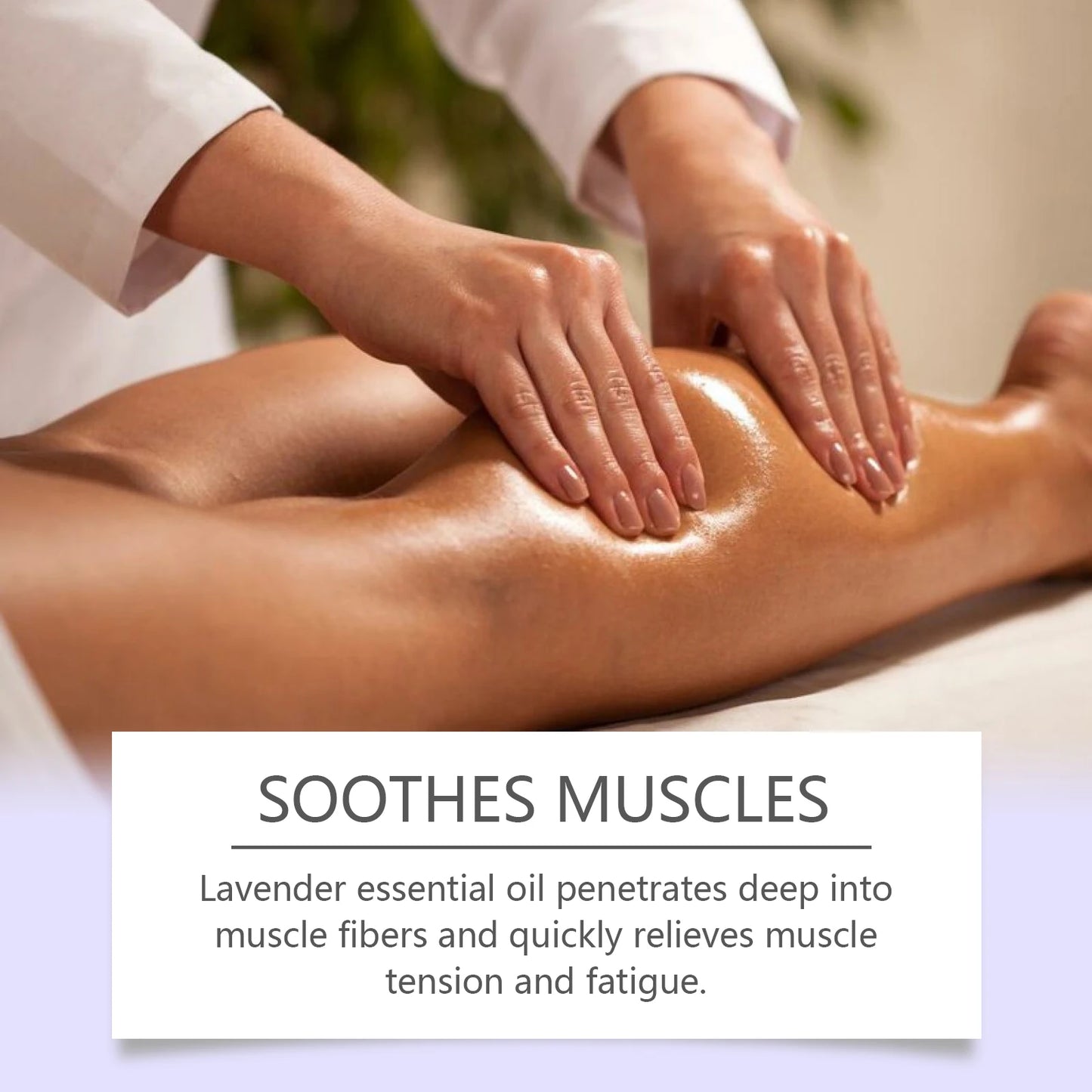 Lavender Essential Oil Massage Oil For Soothing Skin And Relaxation