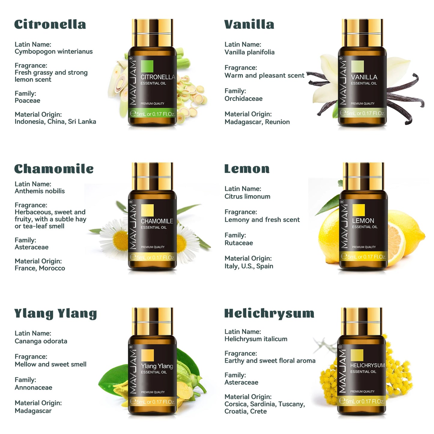 MAYJAM 35 Bottles Essential Oils Kit Gift Box With Lavender And More