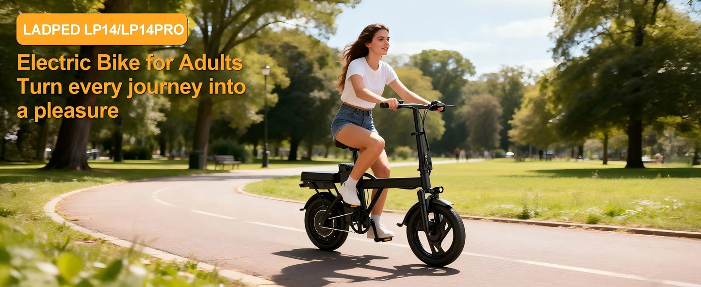 Ladped Foldable Dual Seat Electric Bike With 500W Motor
