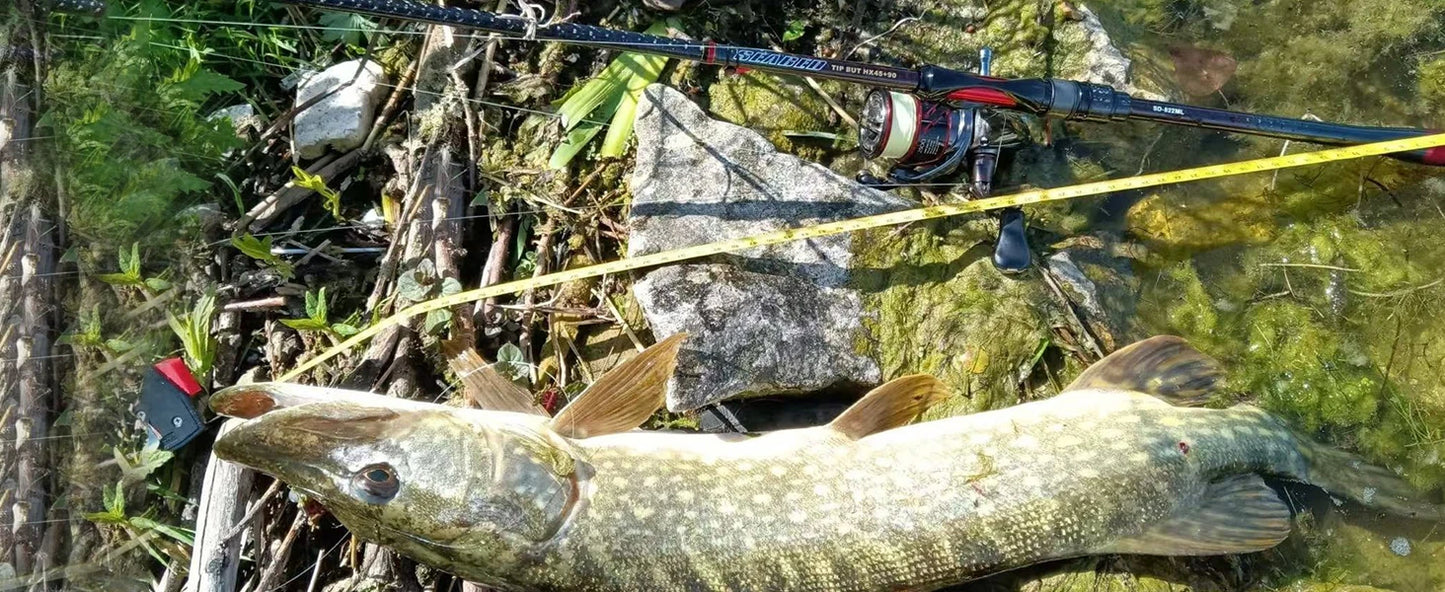 Purelure Seabed Carbon Spin Rod With Fuji Components