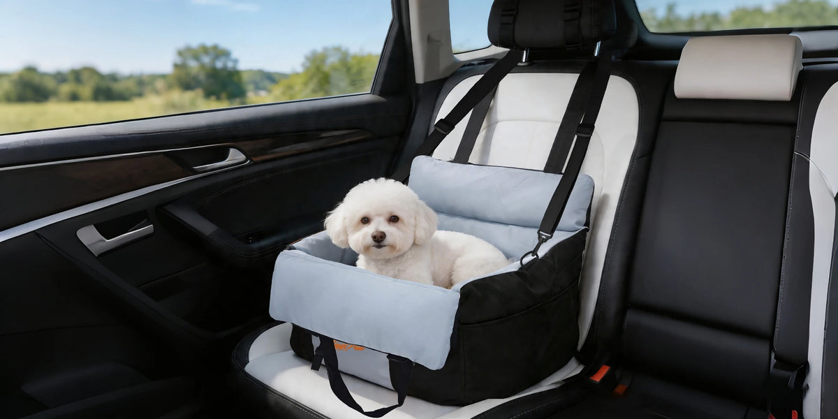 BORWART Portable Dog Car Booster Seat With Safety Belt Washable Cover