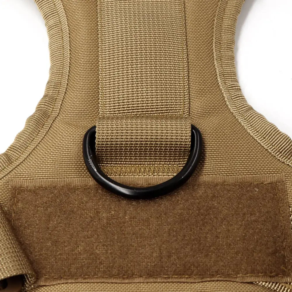 Nylon Dog Harness And Leash Set For Training And Walking