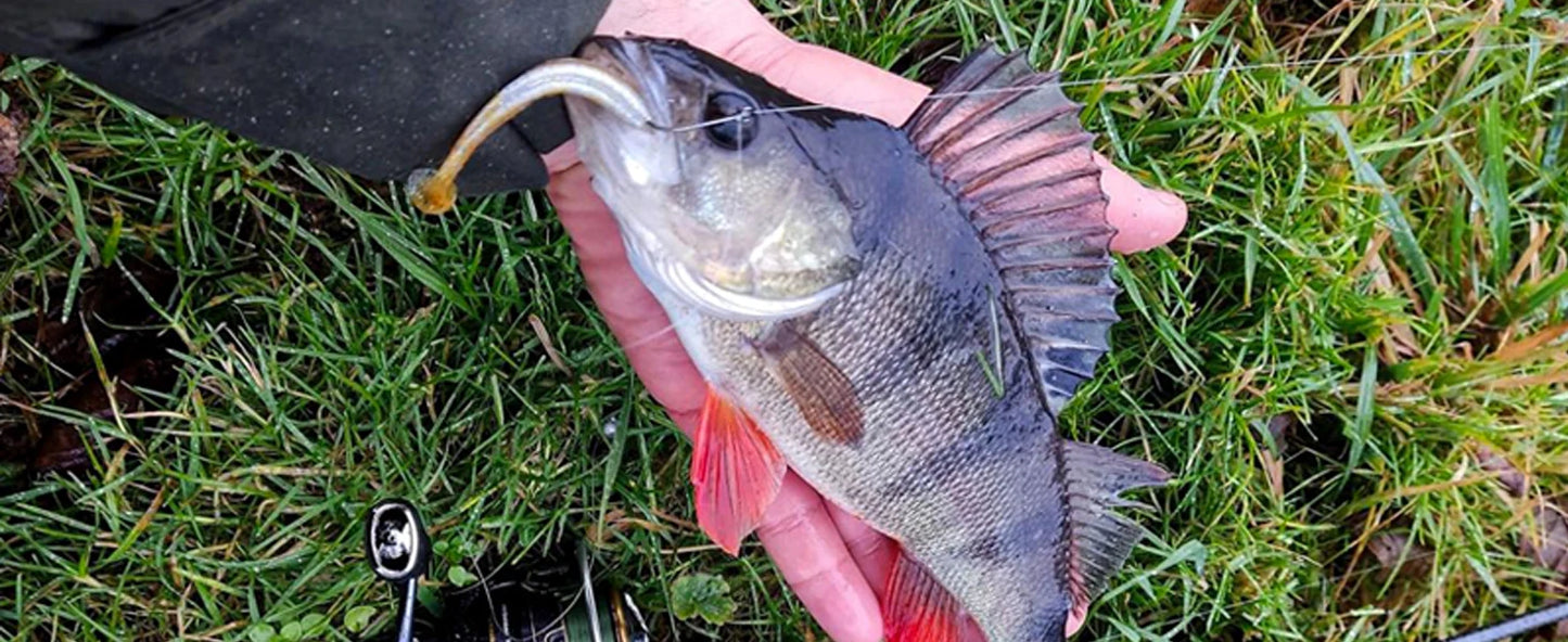 Purelure Seabed Carbon Spin Rod With Fuji Components