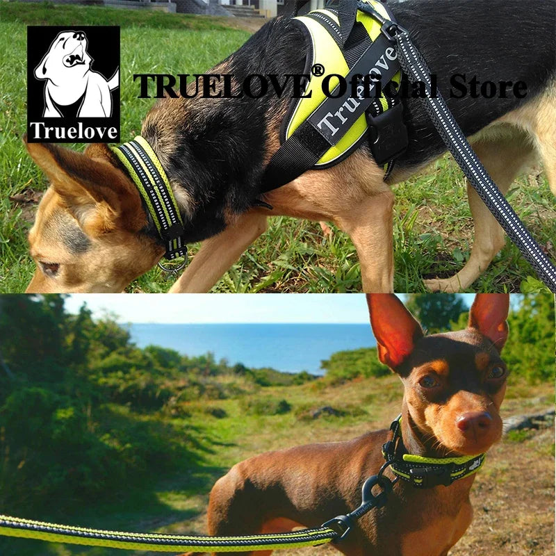 TRUELOVE Adjustable Reflective Padded Nylon Dog Collar