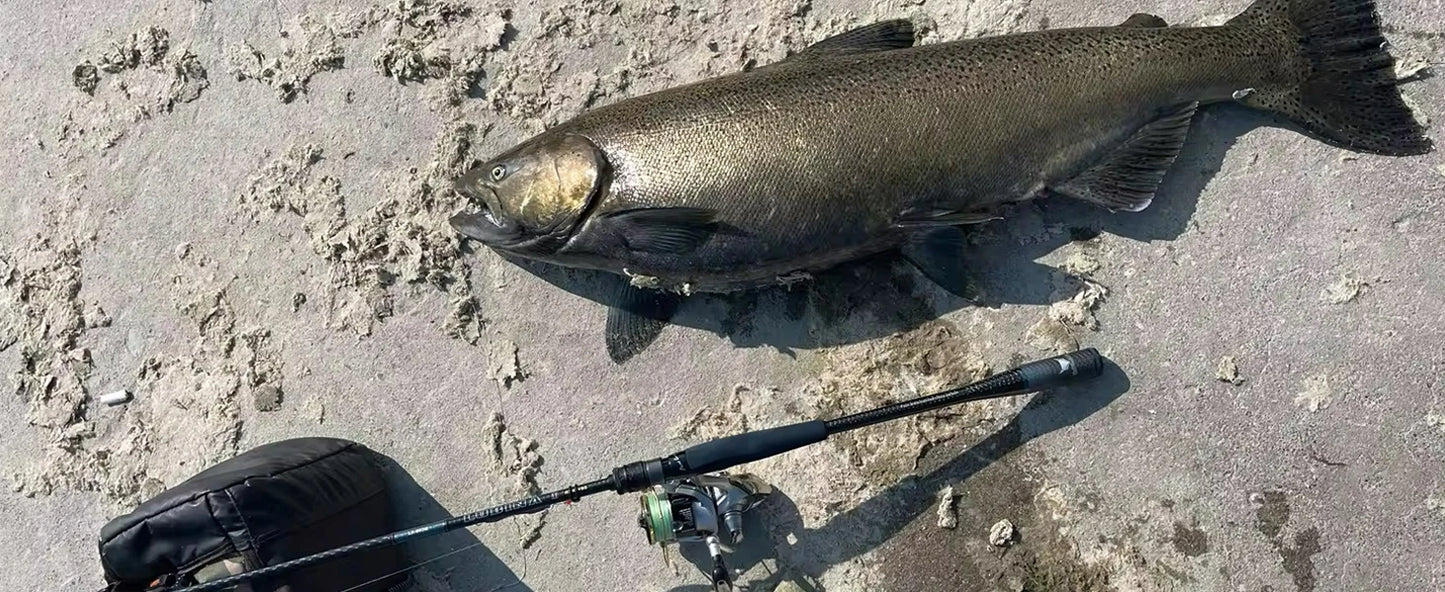 Purelure Lubina Pro Spinning Rod Fuji Guides Fast Action