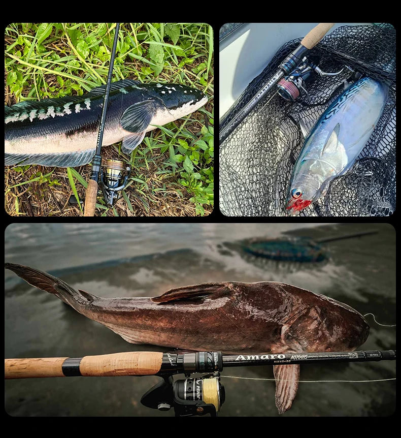 Purelure Amaro Pro Heavy Duty Travel Carbon Fiber Fishing Rod