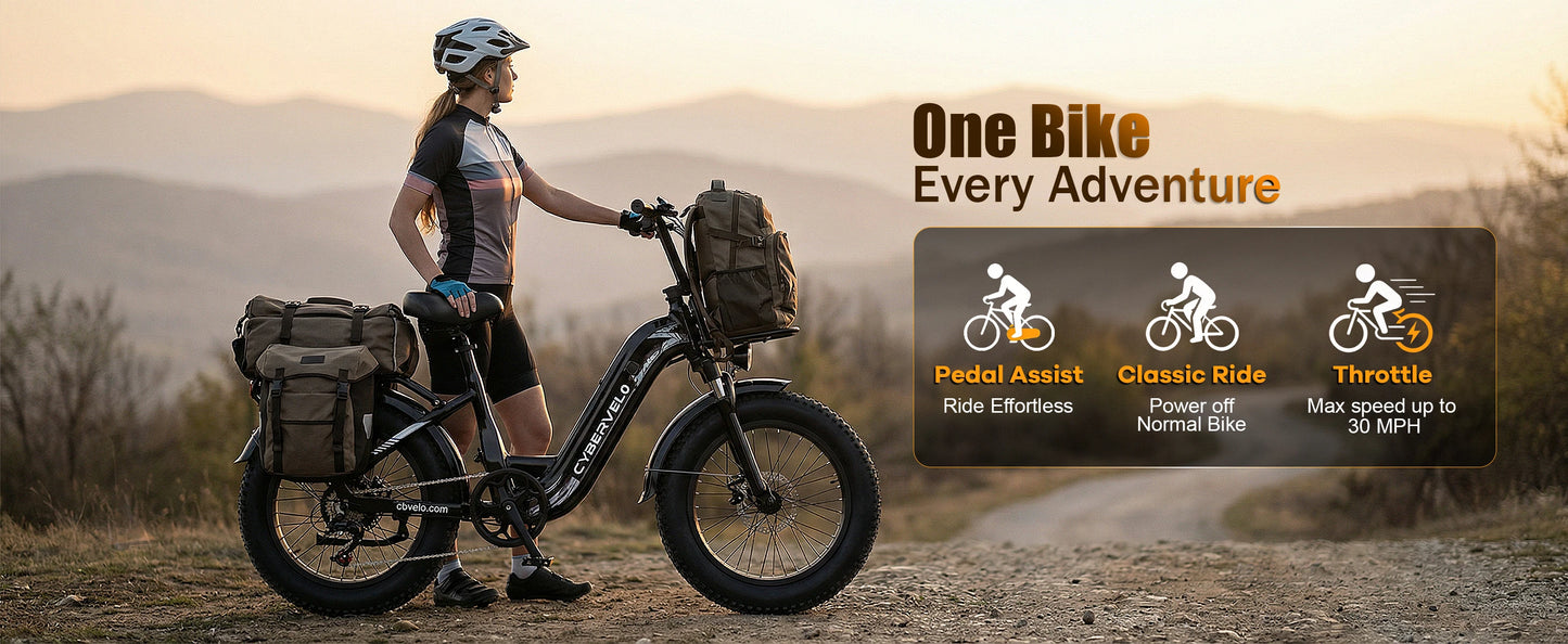 Cybervelo 1000W Step Through Electric Bike With Fat Tires