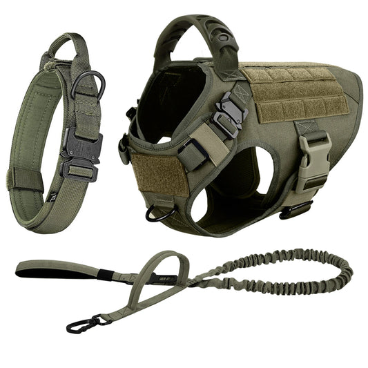 Nylon Dog Harness And Leash Set For Training And Walking