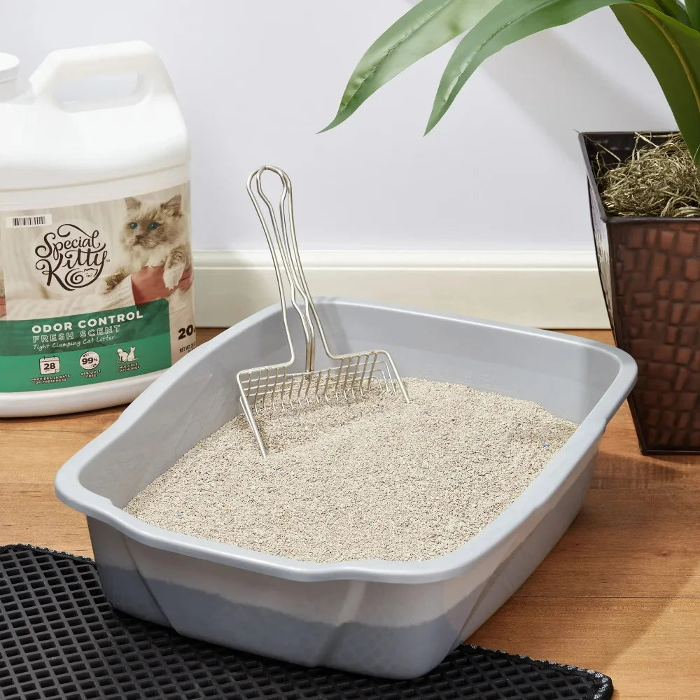 Special Kitty Fresh Scent Clumping Cat Litter With Odor Control