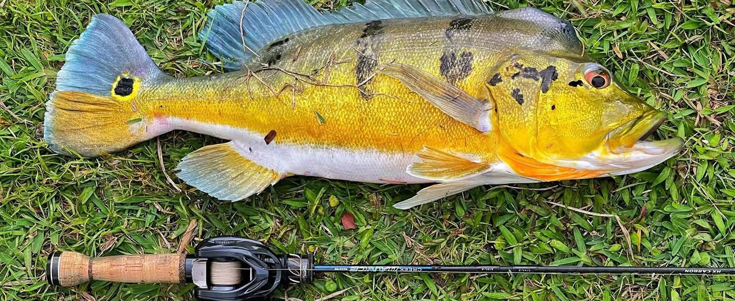 Purelure Creek Dance Ultralight Trout Spinning Rod Fuji Guides